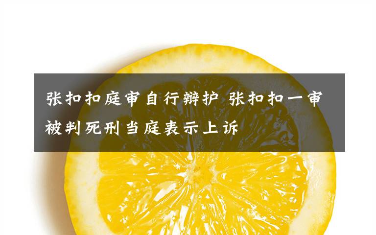 张扣扣庭审自行辩护 张扣扣一审被判死刑当庭表示上诉