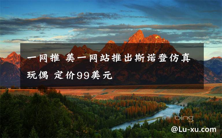 一网推 美一网站推出斯诺登仿真玩偶 定价99美元