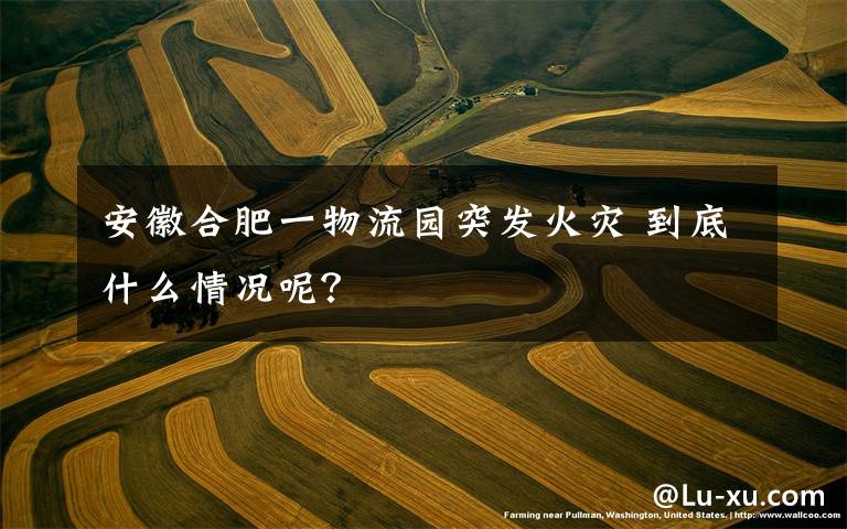 安徽合肥一物流园突发火灾 到底什么情况呢？
