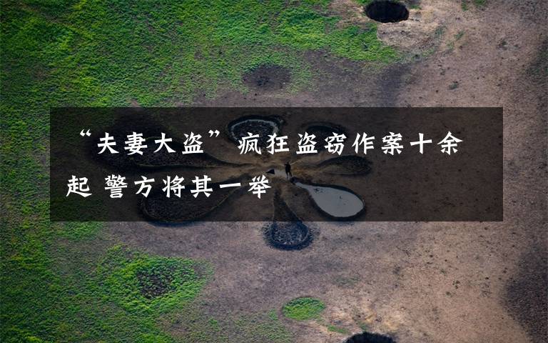 “夫妻大盗”疯狂盗窃作案十余起 警方将其一举