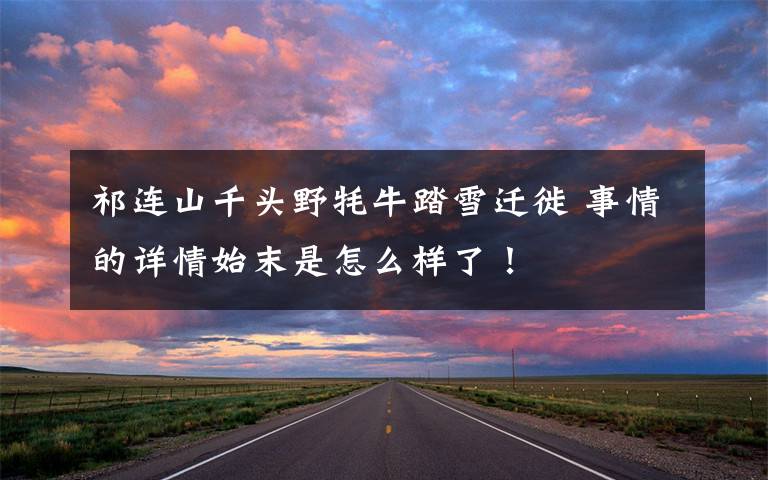 祁连山千头野牦牛踏雪迁徙 事情的详情始末是怎么样了！