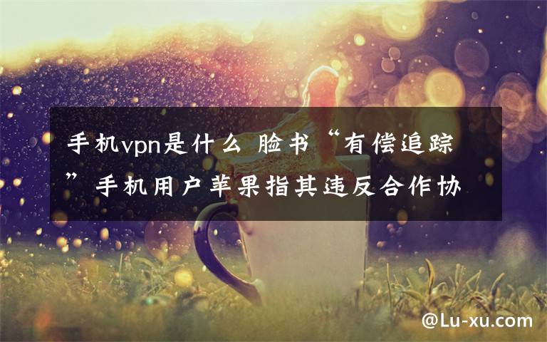 手机vpn是什么 脸书“有偿追踪”手机用户苹果指其违反合作协议