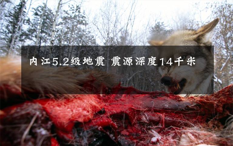 内江5.2级地震 震源深度14千米