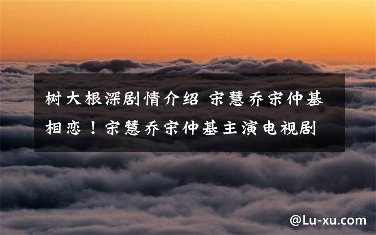 树大根深剧情介绍 宋慧乔宋仲基相恋！宋慧乔宋仲基主演电视剧及电影盘点