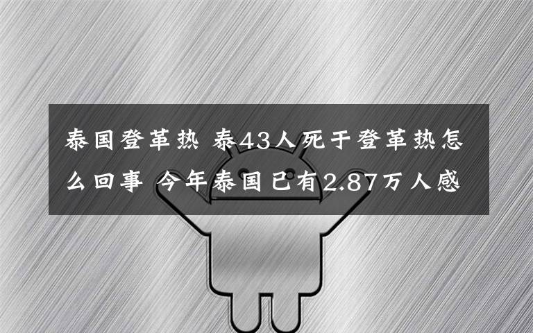 泰国登革热 泰43人死于登革热怎么回事 今年泰国已有2.87万人感染登革热