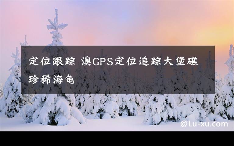 定位跟踪 澳GPS定位追踪大堡礁珍稀海龟