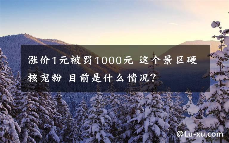 涨价1元被罚1000元 这个景区硬核宠粉 目前是什么情况？