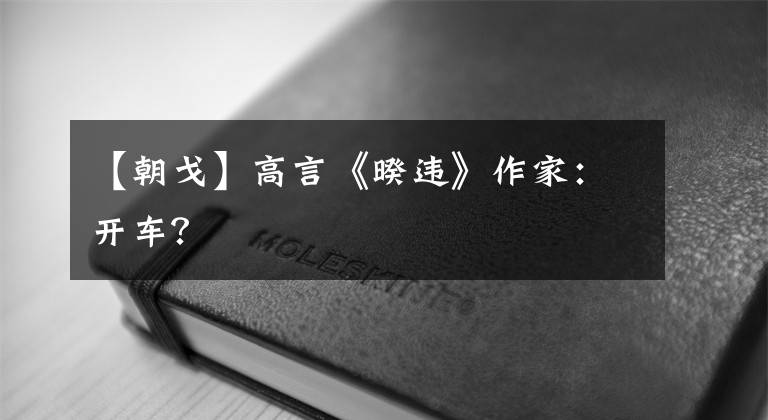【朝戈】高言《暌违》作家：开车？