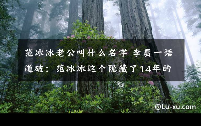 范冰冰老公叫什么名字 李晨一语道破：范冰冰这个隐藏了14年的男人，难怪三次求婚被拒