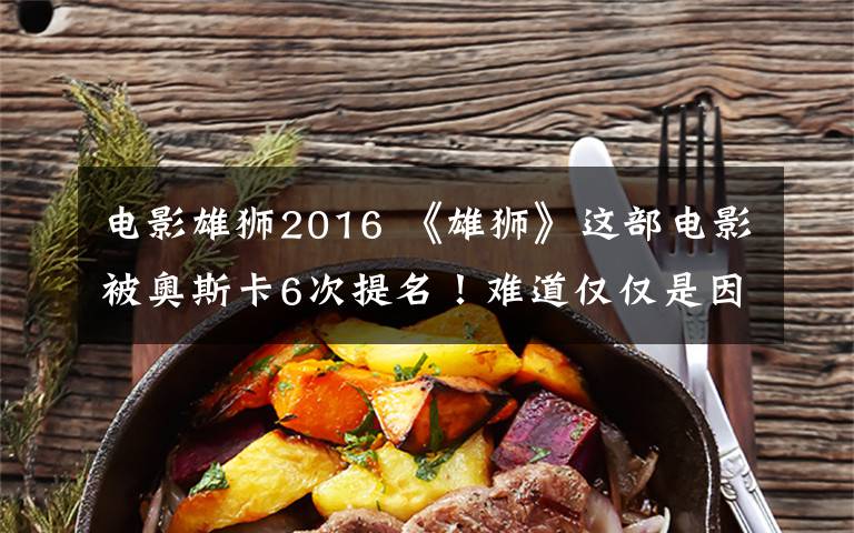 电影雄狮2016 《雄狮》这部电影被奥斯卡6次提名！难道仅仅是因为好看？