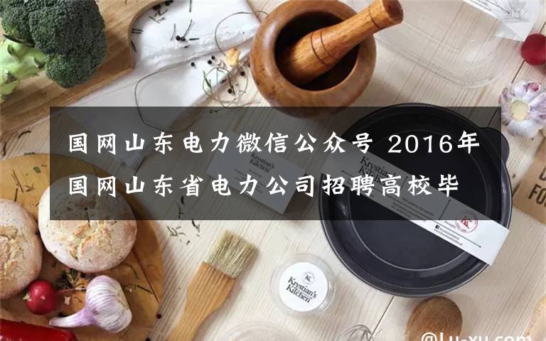 国网山东电力微信公众号 2016年国网山东省电力公司招聘高校毕业生公告