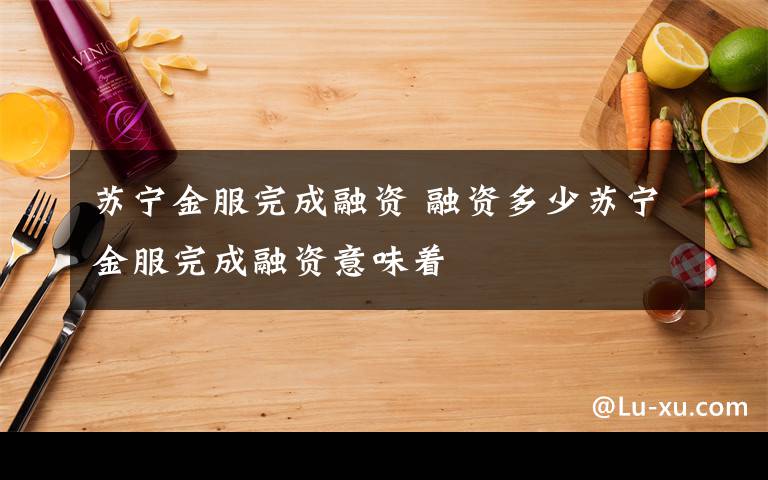 苏宁金服完成融资 融资多少苏宁金服完成融资意味着