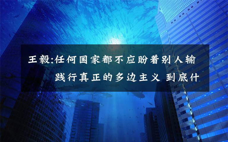 王毅:任何国家都不应盼着别人输   践行真正的多边主义 到底什么情况呢？