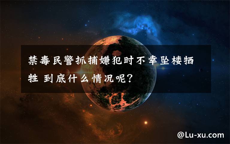 禁毒民警抓捕嫌犯时不幸坠楼牺牲 到底什么情况呢？