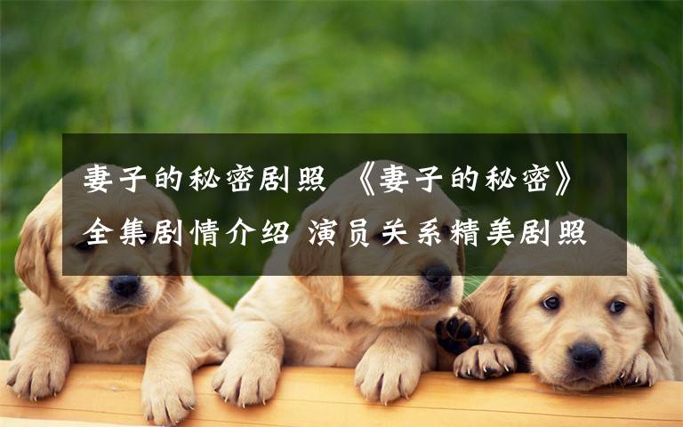 妻子的秘密剧照 《妻子的秘密》全集剧情介绍 演员关系精美剧照曝光