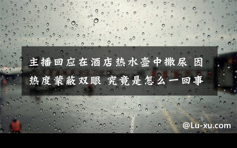 主播回应在酒店热水壶中撒尿 因热度蒙蔽双眼 究竟是怎么一回事?