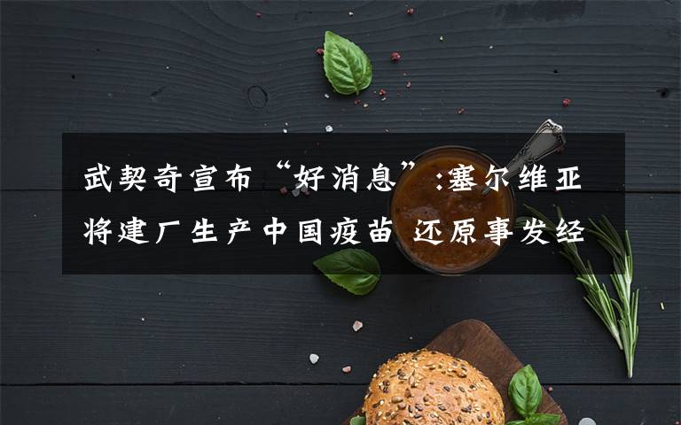 武契奇宣布“好消息”:塞尔维亚将建厂生产中国疫苗 还原事发经过及背后真相！
