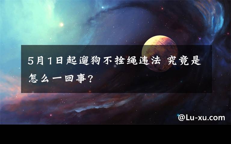 5月1日起遛狗不拴绳违法 究竟是怎么一回事?