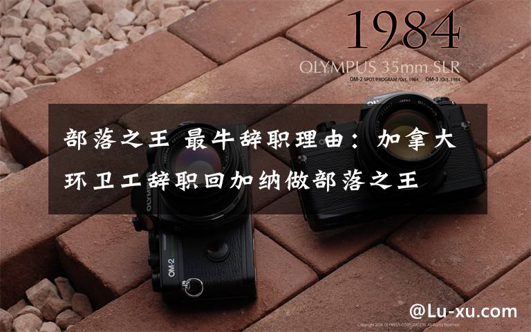 部落之王 最牛辞职理由：加拿大环卫工辞职回加纳做部落之王