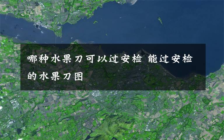 哪种水果刀可以过安检 能过安检的水果刀图