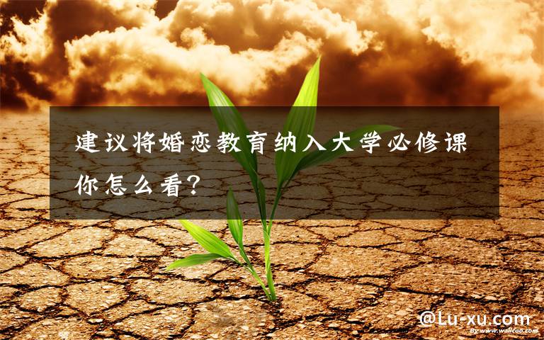  建议将婚恋教育纳入大学必修课 你怎么看？