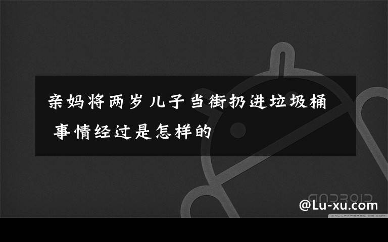 亲妈将两岁儿子当街扔进垃圾桶 事情经过是怎样的