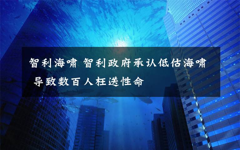 智利海啸 智利政府承认低估海啸 导致数百人枉送性命