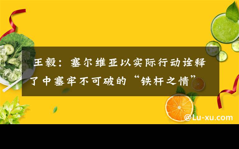  王毅：塞尔维亚以实际行动诠释了中塞牢不可破的“铁杆之情”