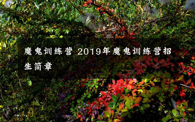 魔鬼训练营 2019年魔鬼训练营招生简章