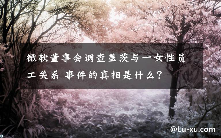 微软董事会调查盖茨与一女性员工关系 事件的真相是什么？
