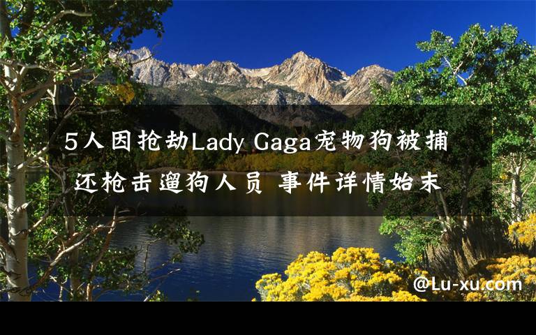 5人因抢劫Lady Gaga宠物狗被捕 还枪击遛狗人员 事件详情始末介绍！