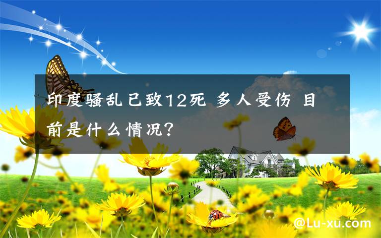 印度骚乱已致12死 多人受伤 目前是什么情况？
