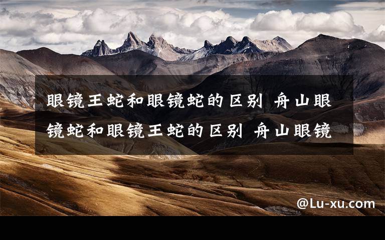 眼镜王蛇和眼镜蛇的区别 舟山眼镜蛇和眼镜王蛇的区别 舟山眼镜蛇由来