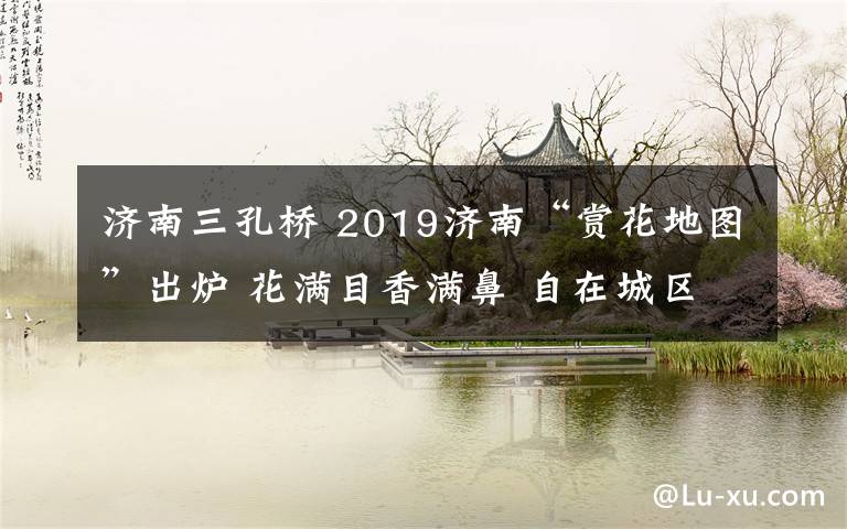 济南三孔桥 2019济南“赏花地图”出炉 花满目香满鼻 自在城区游