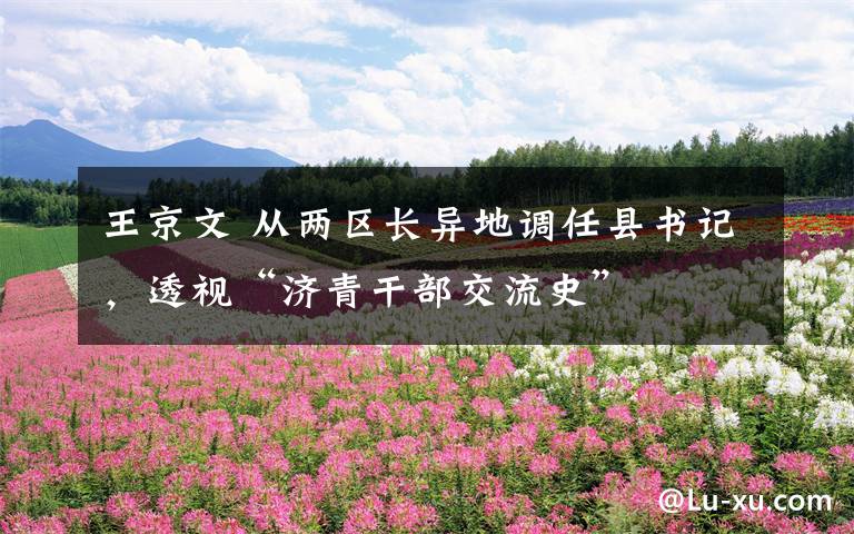 王京文 从两区长异地调任县书记，透视“济青干部交流史”