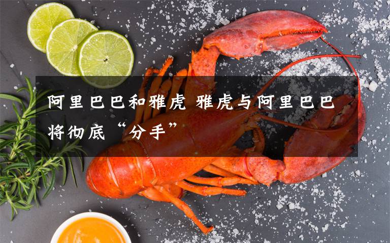 阿里巴巴和雅虎 雅虎与阿里巴巴将彻底“分手”