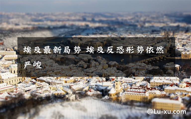 埃及最新局势 埃及反恐形势依然严峻