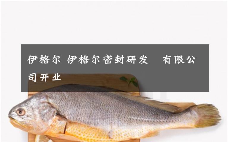 伊格尔 伊格尔密封研发　有限公司开业