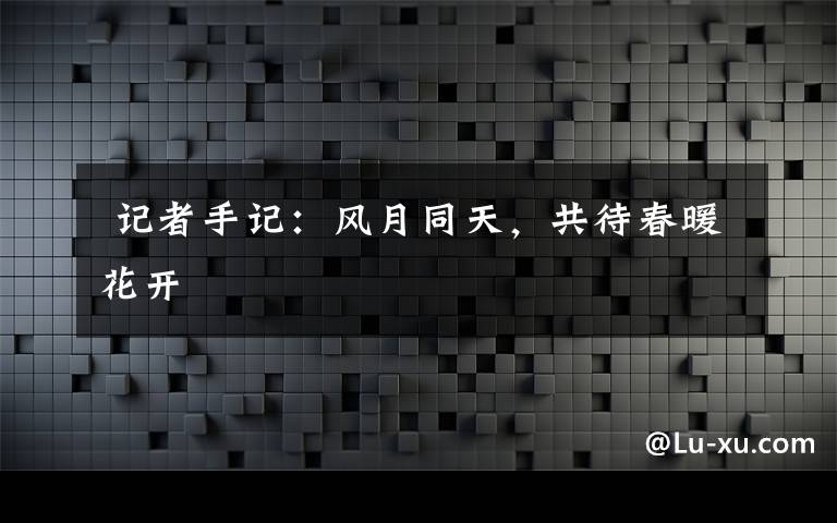  记者手记：风月同天，共待春暖花开