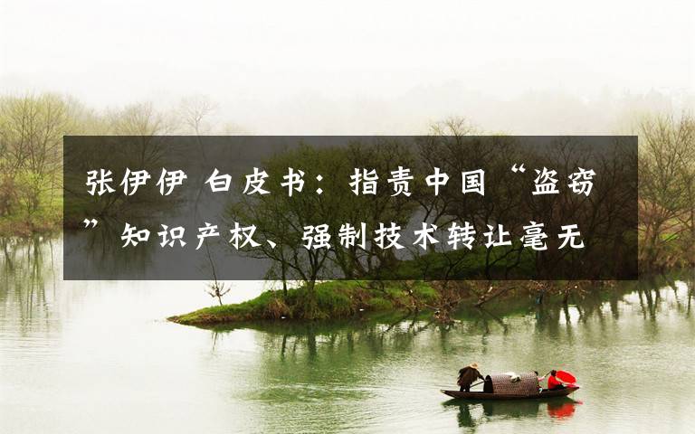 张伊伊 白皮书：指责中国“盗窃”知识产权、强制技术转让毫无依据