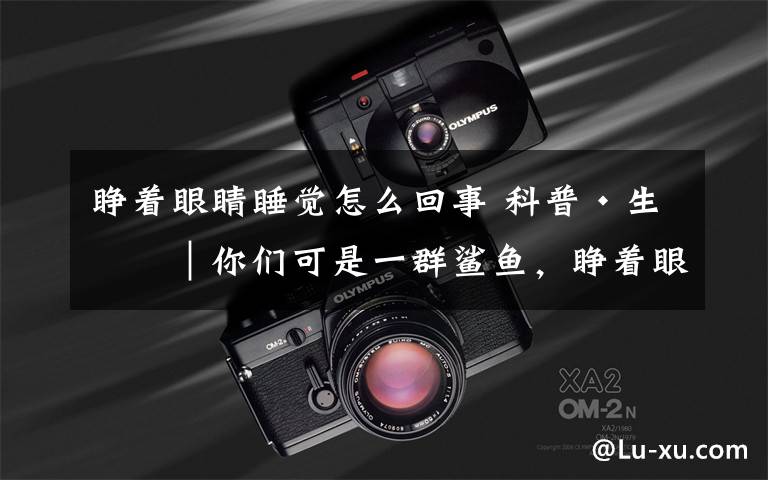 睁着眼睛睡觉怎么回事 科普·生态︱你们可是一群鲨鱼，睁着眼睛聚众睡觉算怎么回事！