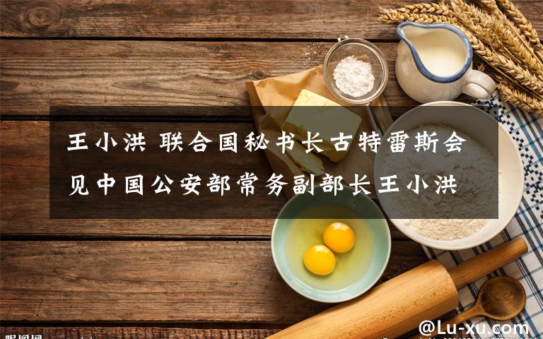 王小洪 联合国秘书长古特雷斯会见中国公安部常务副部长王小洪