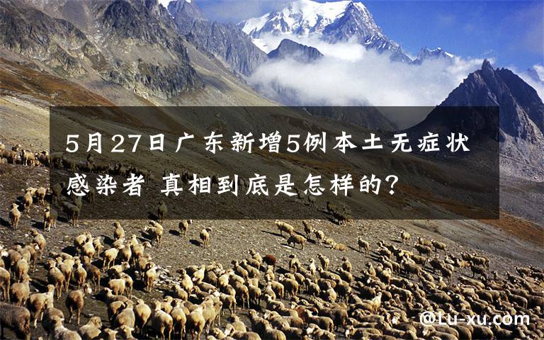 5月27日广东新增5例本土无症状感染者 真相到底是怎样的？