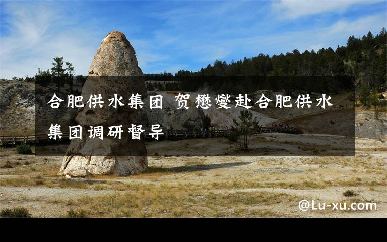 合肥供水集团 贺懋燮赴合肥供水集团调研督导