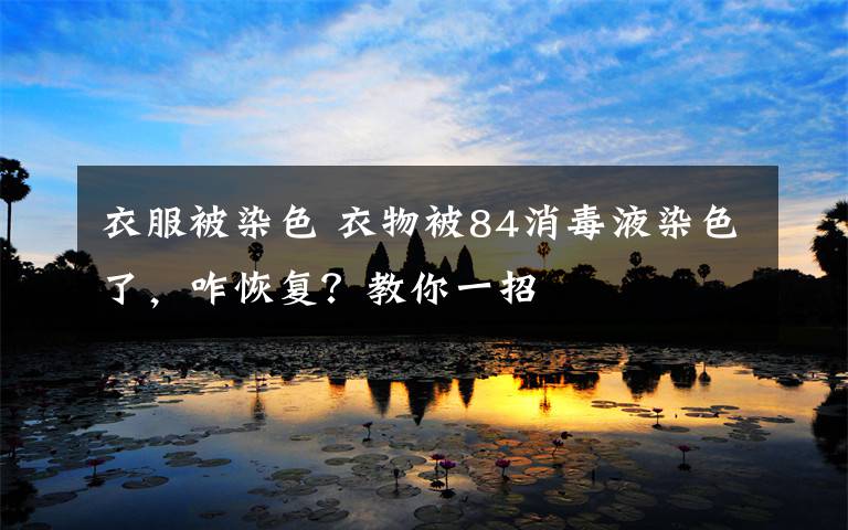 衣服被染色 衣物被84消毒液染色了，咋恢复？教你一招