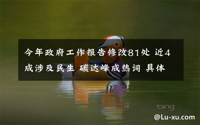 今年政府工作报告修改81处 近4成涉及民生 碳达峰成热词 具体是啥情况?