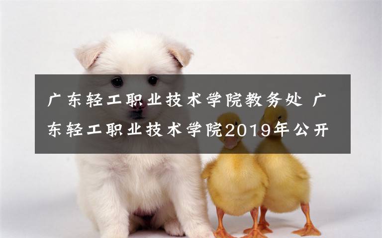 广东轻工职业技术学院教务处 广东轻工职业技术学院2019年公开招聘工作人员公告