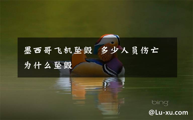 墨西哥飞机坠毁 多少人员伤亡为什么坠毁