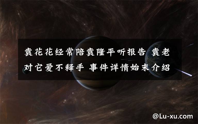 袁花花经常陪袁隆平听报告 袁老对它爱不释手 事件详情始末介绍！