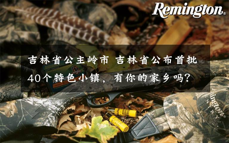吉林省公主岭市 吉林省公布首批40个特色小镇，有你的家乡吗？
